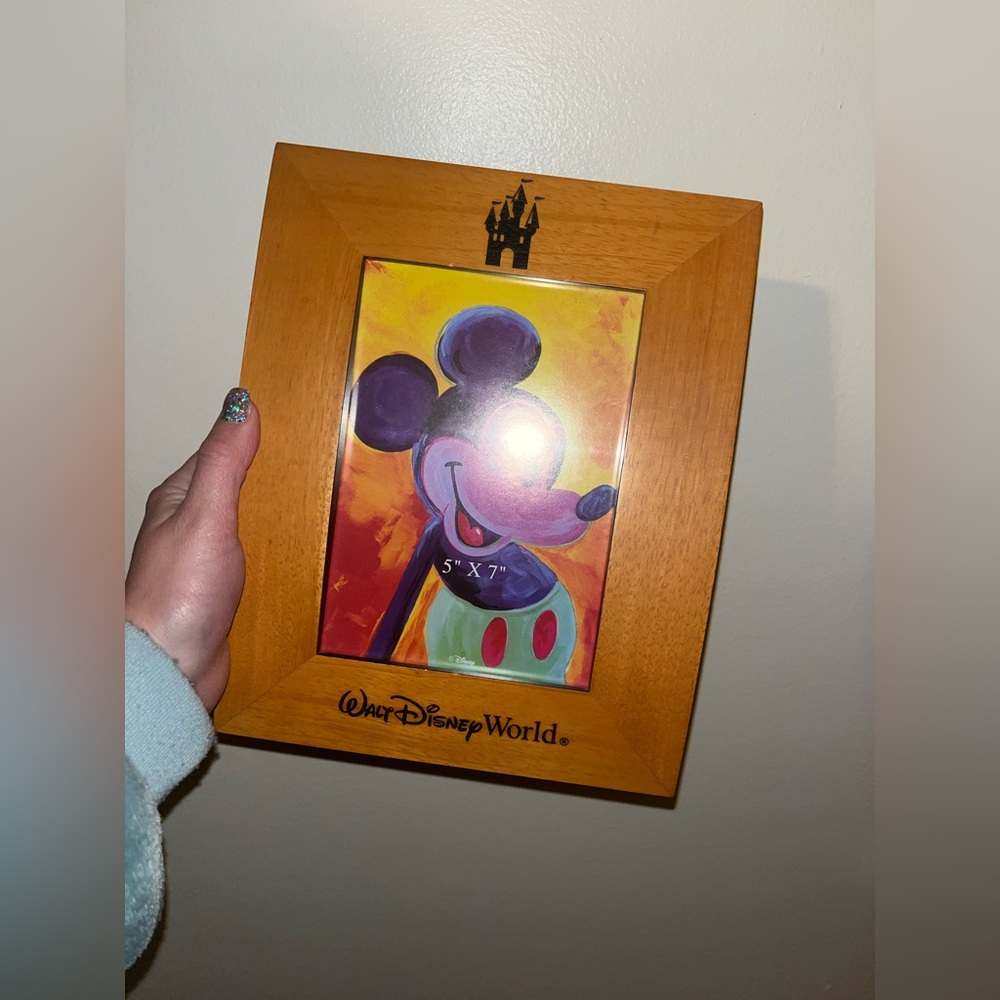 WALT DISNEY WORLD FRAME-NO GLASS INCLUDED